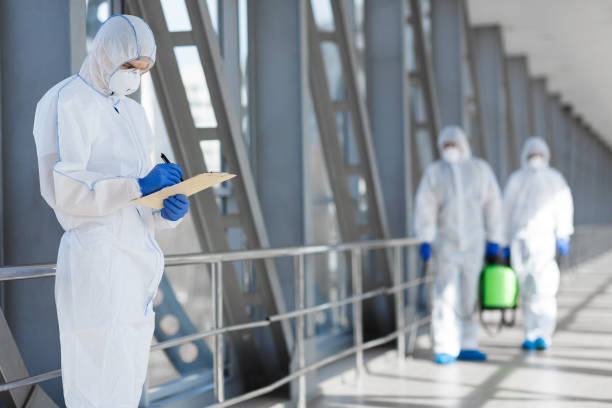 Trusted Yale, OK Mold Removal Experts